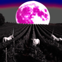 luna de sangre sobre un campo de viñas con unicornios